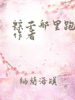 粽子哪里跑小说作者