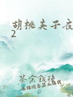 胡桃夹子夜未眠2