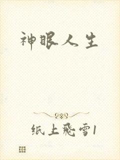 神眼人生