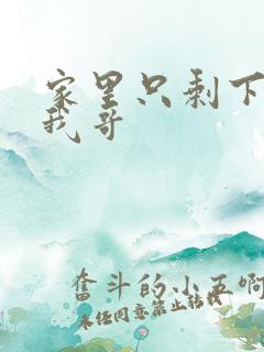 家里只剩下我和我哥