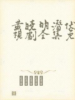 黄晓明潜伏者电视剧全集免费观看