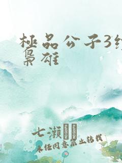 极品公子3续世枭雄