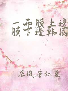 一面膜上边一面膜下边韩国