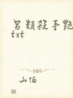 另类杀手艳福星txt