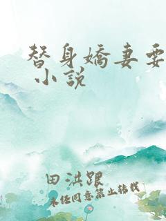 替身娇妻要离婚 小说