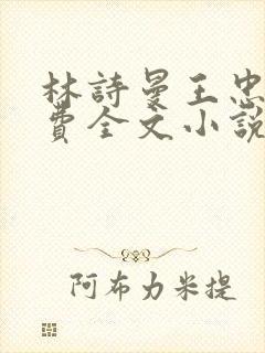 林诗曼王忠文免费全文小说的名称