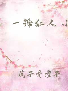一号红人 小说