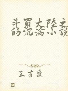 斗罗大陆之众女的沉沦小说