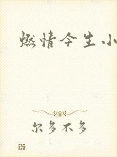 燃情今生小说