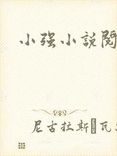 小强小说阅读网