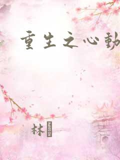 重生之心动起点