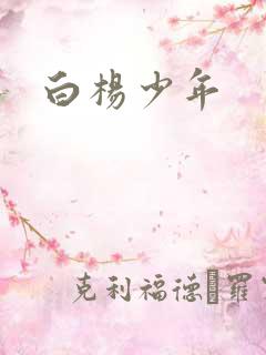 白杨少年