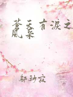 苍天有泪之军人风采