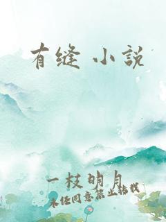 有缝 小说