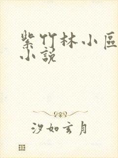 紫竹林小区快递小说