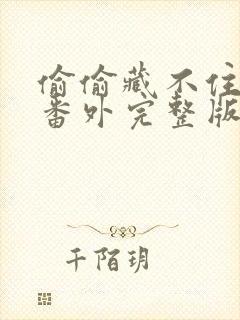 偷偷藏不住新婚番外完整版