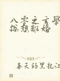 八零之玄学大师总想离婚