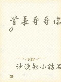 首长哥哥你好po