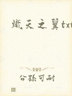 炽天之翼txt