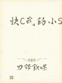 快C我的小SB
