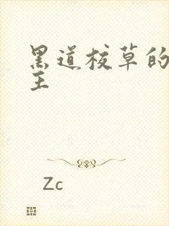 黑道校草的冷公主