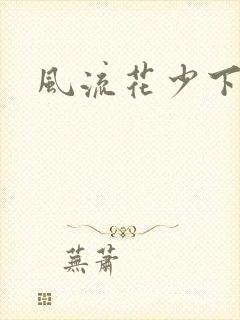 风流花少下载