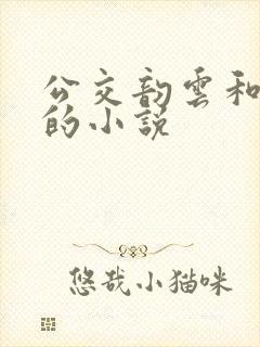 公交韵云和小健的小说