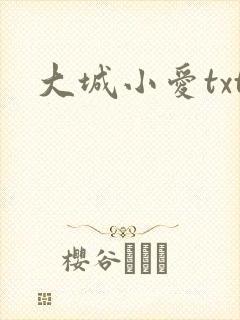 大城小爱txt