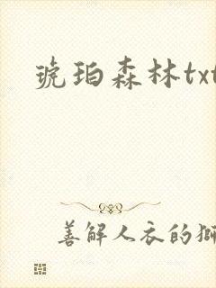 琥珀森林txt
