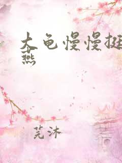 大龟慢慢挺进张燕