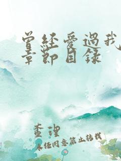 曾经爱过我刘念章节目录