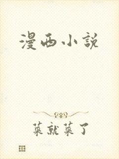 漫西小说