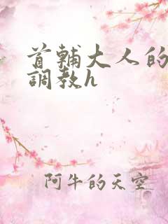 首辅大人的花式调教h