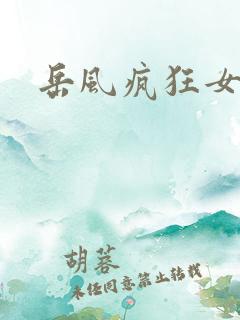 岳风疯狂女婿