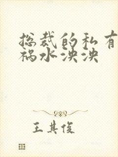 总裁的私有宝贝祸水泱泱