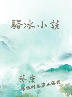 骆冰小说