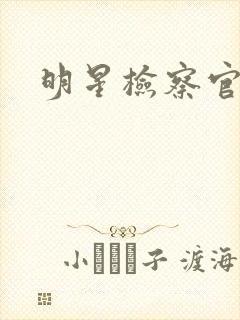 明星检察官小说