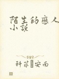 陌生的恋人原著小说