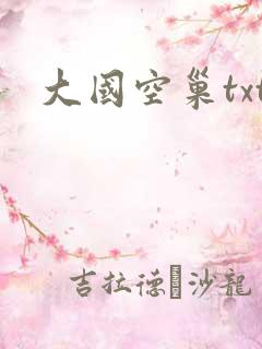 大国空巢txt