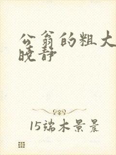 公翁的粗大放进晓静