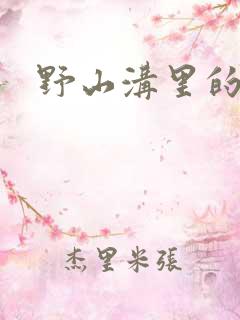 野山沟里的村庄