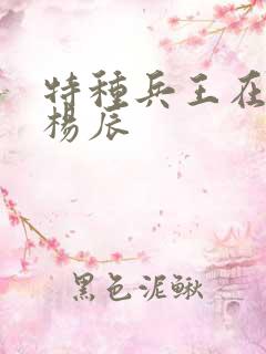 特种兵王在都市杨辰