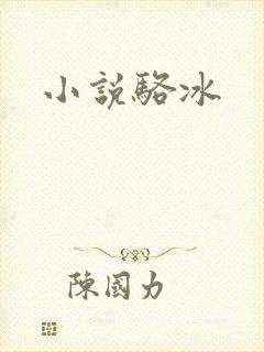 小说骆冰