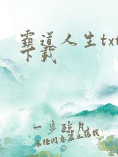 霸道人生txt下载