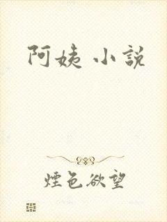 阿姨 小说