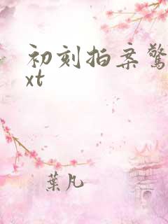 初刻拍案惊奇txt