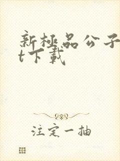 新极品公子txt下载