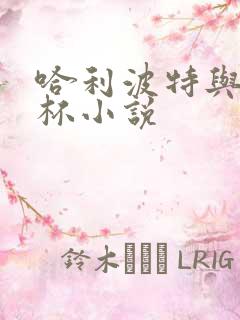 哈利波特与火焰杯小说