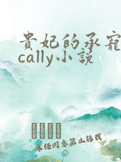 贵妃的承宠日常cally小说