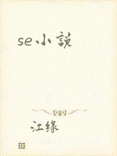 se小说